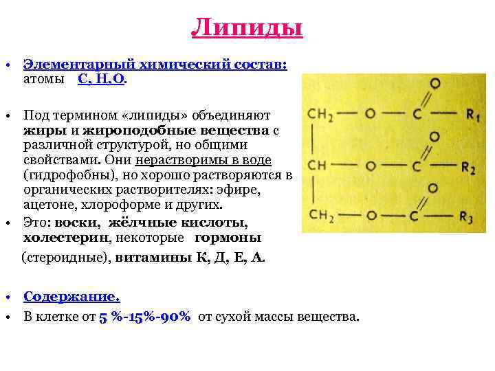 Липиды • Элементарный химический состав: атомы С, Н, О. • Под термином «липиды» объединяют