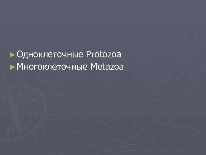 ► Одноклеточные Protozoa ► Многоклеточные Metazoa 