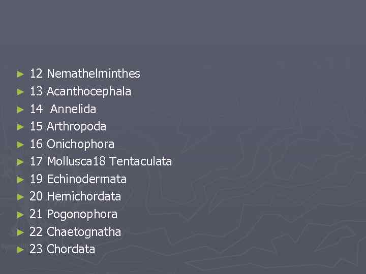 12 Nemathelminthes ► 13 Acanthocephala ► 14 Annelida ► 15 Arthropoda ► 16 Onichophora