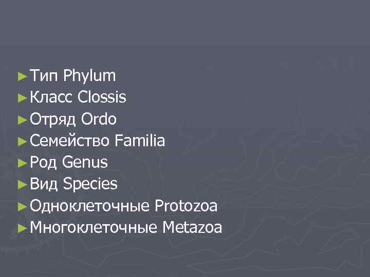 ► Тип Phylum ► Класс Clossis ► Отряд Ordo ► Семейство Familia ► Род