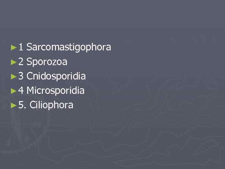 ► 1 Sarcomastigophora ► 2 Sporozoa ► 3 Cnidosporidia ► 4 Microsporidia ► 5.