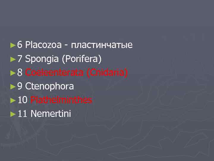 ► 6 Placozoa - пластинчатые ► 7 Spongia (Porifera) ► 8 Coeleenterata (Cnidaria) ►