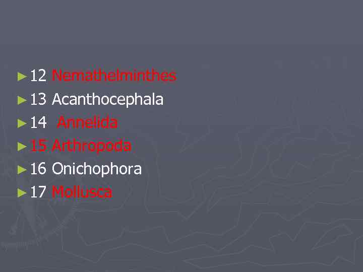 ► 12 Nemathelminthes ► 13 Acanthocephala ► 14 Annelida ► 15 Arthropoda ► 16