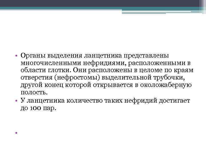  • Органы выделения ланцетника представлены многочисленными нефридиями, расположенными в области глотки. Они расположены