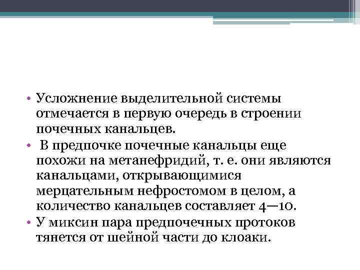  • Усложнение выделительной системы отмечается в первую очередь в строении почечных канальцев. •