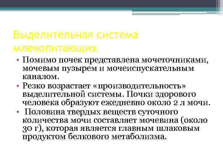 Выделительная система млекопитающих • Помимо почек представлена мочеточниками, мочевым пузырем и мочеиспускательным каналом. •