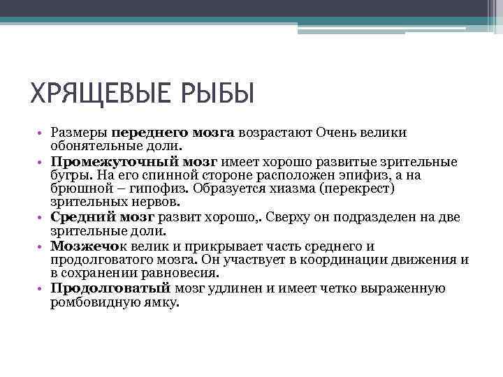 ХРЯЩЕВЫЕ РЫБЫ • Размеры переднего мозга возрастают Очень велики обонятельные доли. • Промежуточный мозг