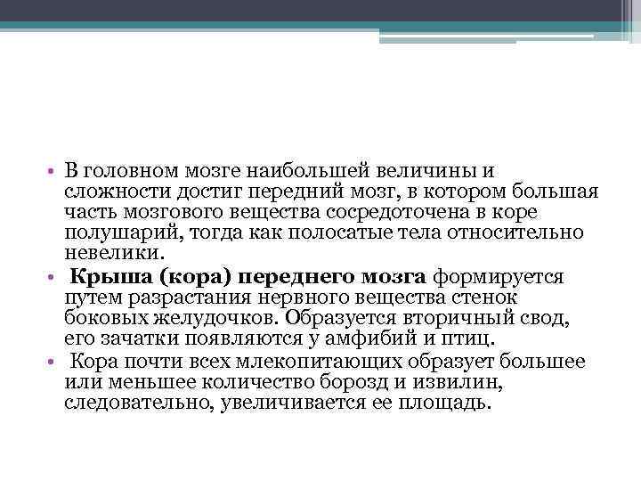  • В головном мозге наибольшей величины и сложности достиг передний мозг, в котором