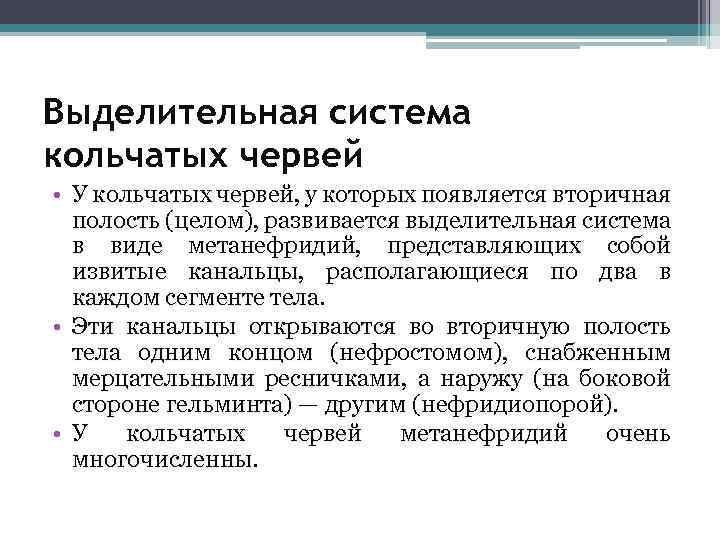 Выделительная система кольчатых червей • У кольчатых червей, у которых появляется вторичная полость (целом),