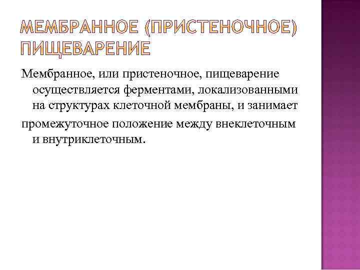 Мембранное, или пристеночное, пищеварение осуществляется ферментами, локализованными на структурах клеточной мембраны, и занимает промежуточное