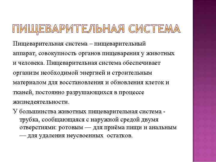 Пищеварительная система – пищеварительный аппарат, совокупность органов пищеварения у животных и человека. Пищеварительная система