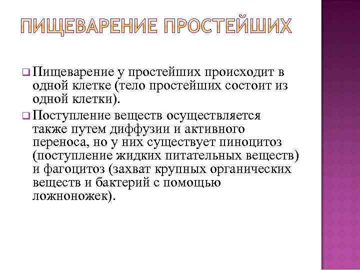 q Пищеварение у простейших происходит в одной клетке (тело простейших состоит из одной клетки).