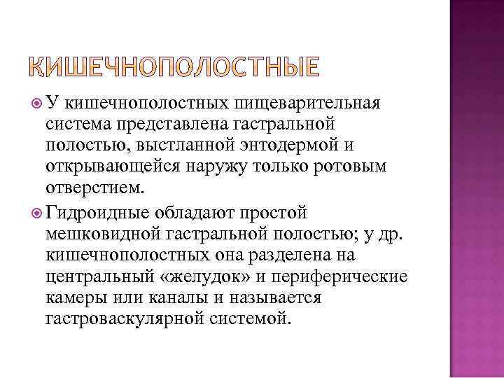  У кишечнополостных пищеварительная система представлена гастральной полостью, выстланной энтодермой и открывающейся наружу только