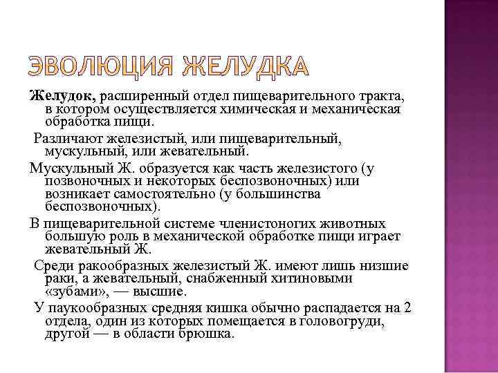 Желудок, расширенный отдел пищеварительного тракта, в котором осуществляется химическая и механическая обработка пищи. Различают