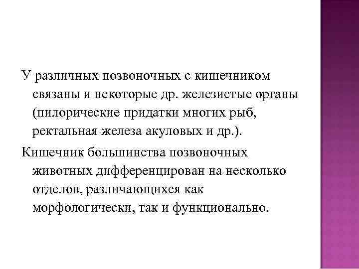 У различных позвоночных с кишечником связаны и некоторые др. железистые органы (пилорические придатки многих