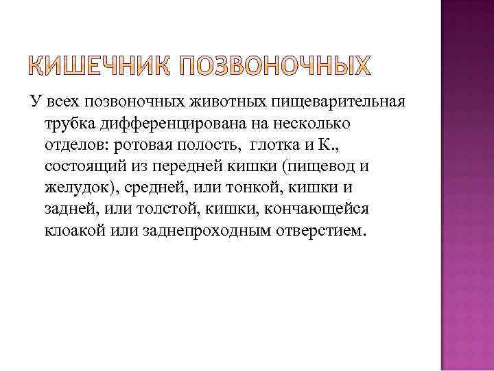 У всех позвоночных животных пищеварительная трубка дифференцирована на несколько отделов: ротовая полость, глотка и