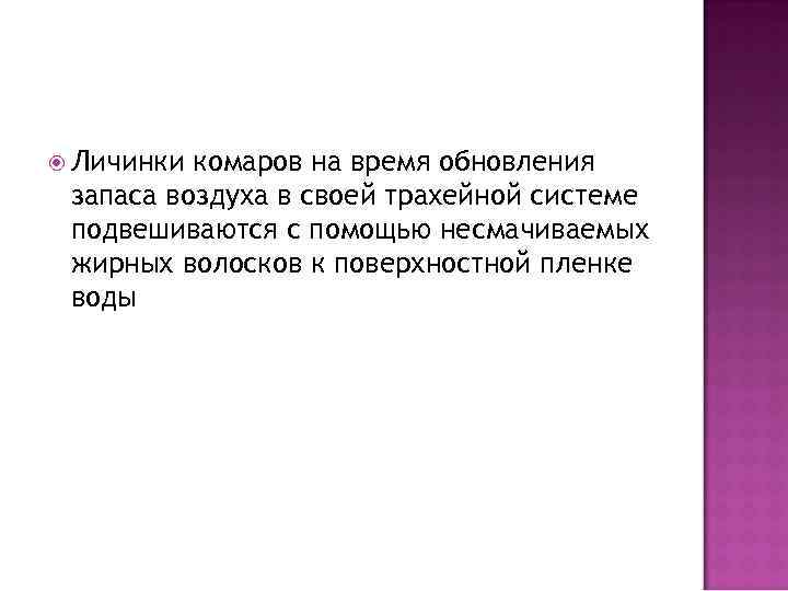  Личинки комаров на время обновления запаса воздуха в своей трахейной системе подвешиваются с