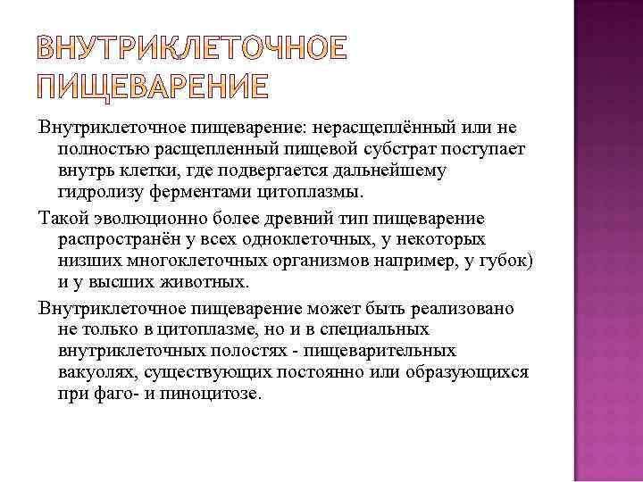 Внутриклеточное пищеварение: нерасщеплённый или не полностью расщепленный пищевой субстрат поступает внутрь клетки, где подвергается