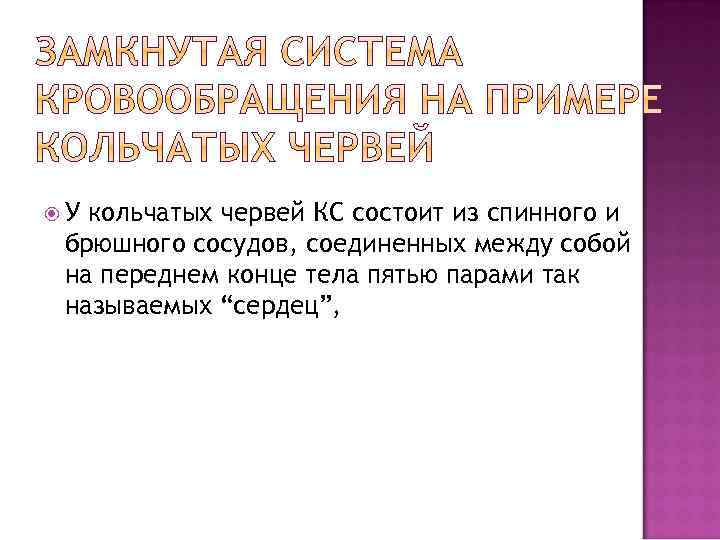  У кольчатых червей КС состоит из спинного и брюшного сосудов, соединенных между собой