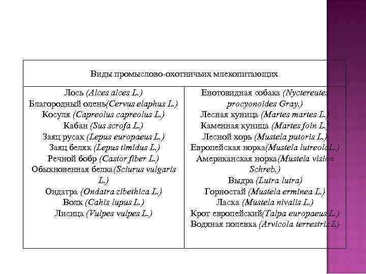 Виды промыслово-охотничьих млекопитающих Лось (Alces alces L. ) Благородный олень(Cervus elaphus L. ) Косуля