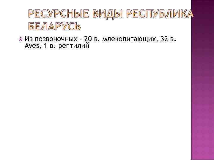  Из позвоночных - 20 в. млекопитающих, 32 в. Aves, 1 в. рептилий 