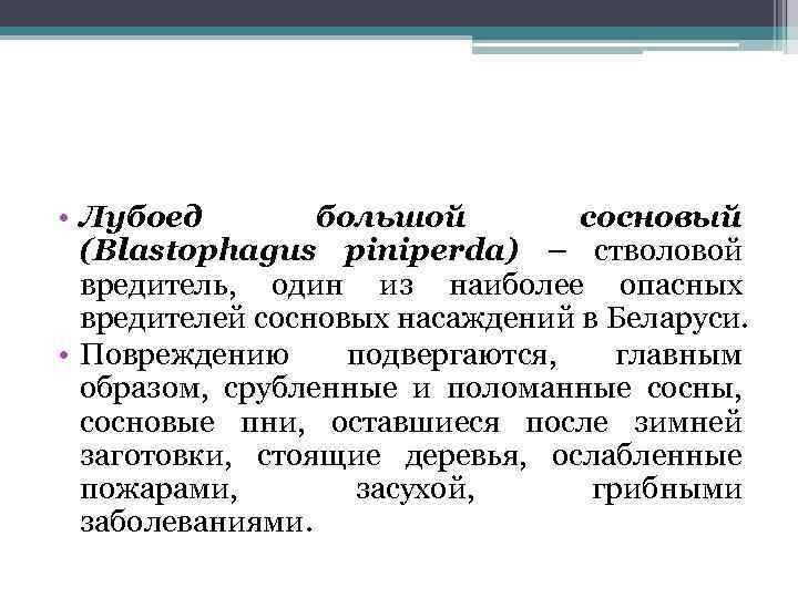  • Лубоед большой сосновый (Blastophagus piniperda) – стволовой вредитель, один из наиболее опасных