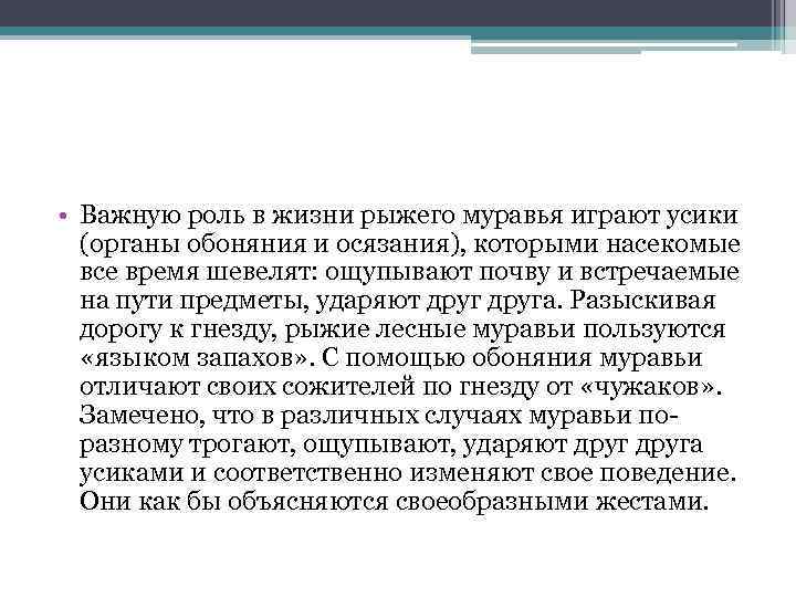  • Важную роль в жизни рыжего муравья играют усики (органы обоняния и осязания),