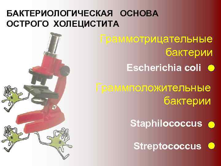 БАКТЕРИОЛОГИЧЕСКАЯ ОСНОВА ОСТРОГО ХОЛЕЦИСТИТА Граммотрицательные бактерии Escherichia coli Граммположительные бактерии Staphilococcus Streptococcus 