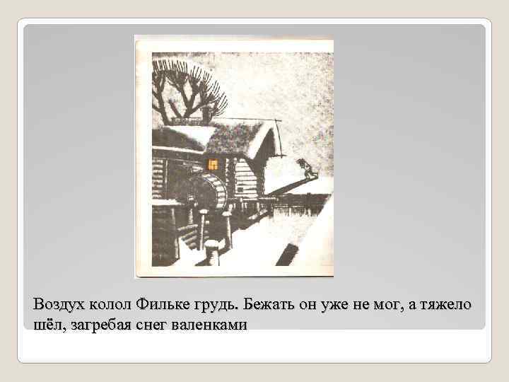Воздух колол Фильке грудь. Бежать он уже не мог, а тяжело шёл, загребая снег