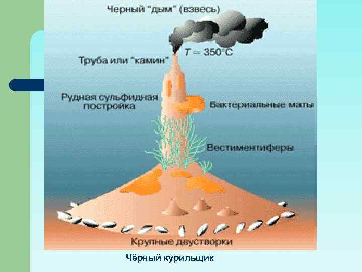 Чёрный курильщик 