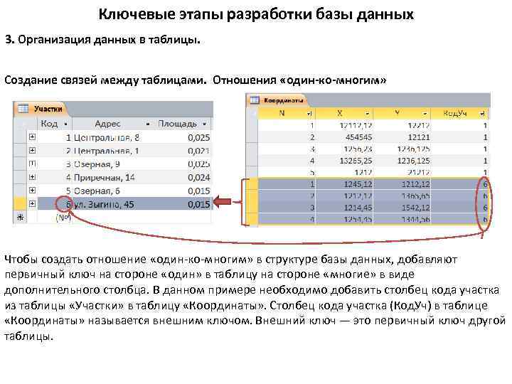 Ключевые этапы разработки базы данных 3. Организация данных в таблицы. Создание связей между таблицами.