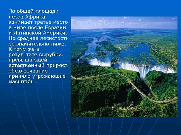  По общей площади лесов Африка занимает третье место в мире после Евразии и