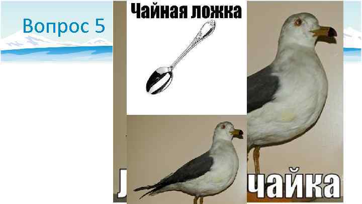 Вопрос 5 