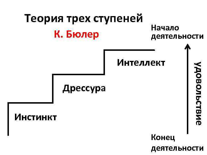 Три учения. Бюлер теория трех ступеней развития. Теория трех ступеней детского развития к Бюлера. Теория трех ступеней психического развития к Бюлера. Теории развития Бюллер.