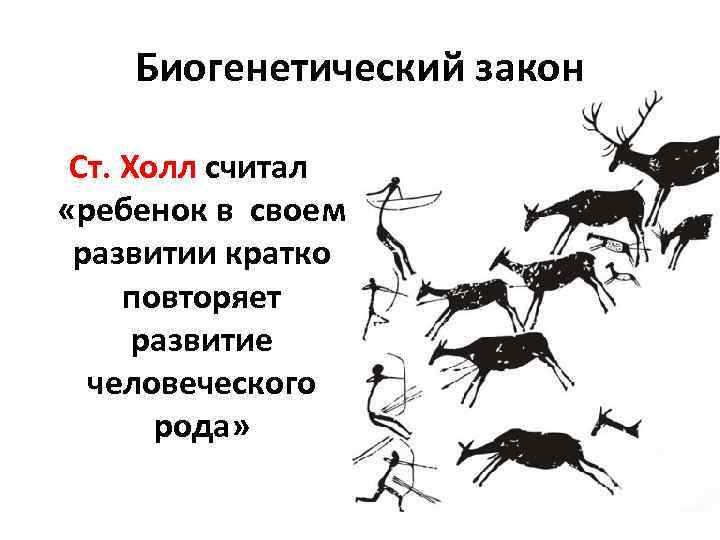 Биогенетический закон Ст. Холл считал «ребенок в своем развитии кратко повторяет развитие человеческого рода»