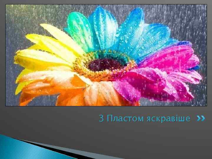 З Пластом яскравіше 