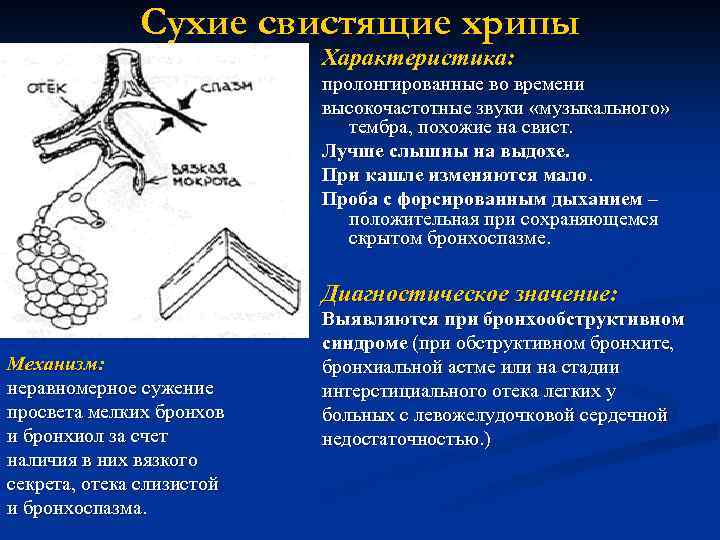 Сухие свистящие хрипы Характеристика: пролонгированные во времени высокочастотные звуки «музыкального» тембра, похожие на свист.