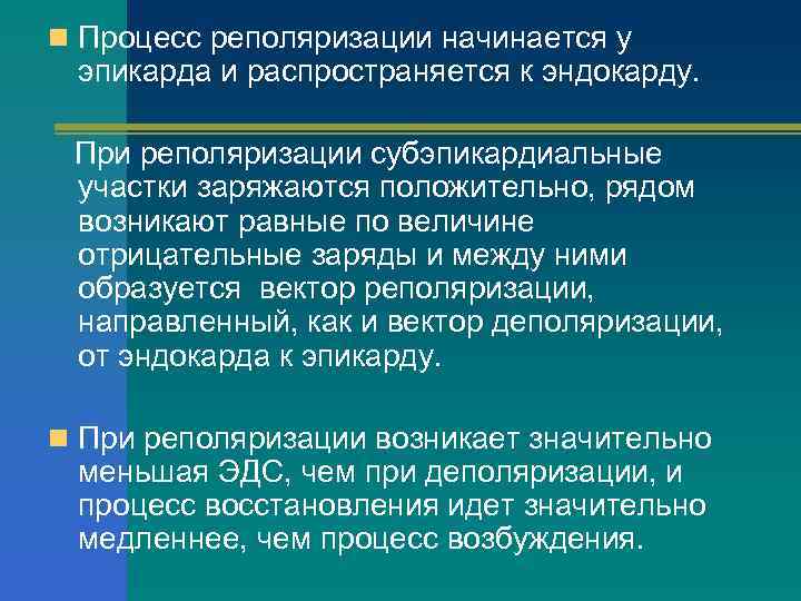 n Процесс реполяризации начинается у эпикарда и распространяется к эндокарду. При реполяризации субэпикардиальные участки