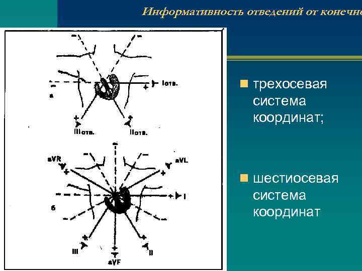Информативность отведений от конечно n трехосевая система координат; n шестиосевая система координат 