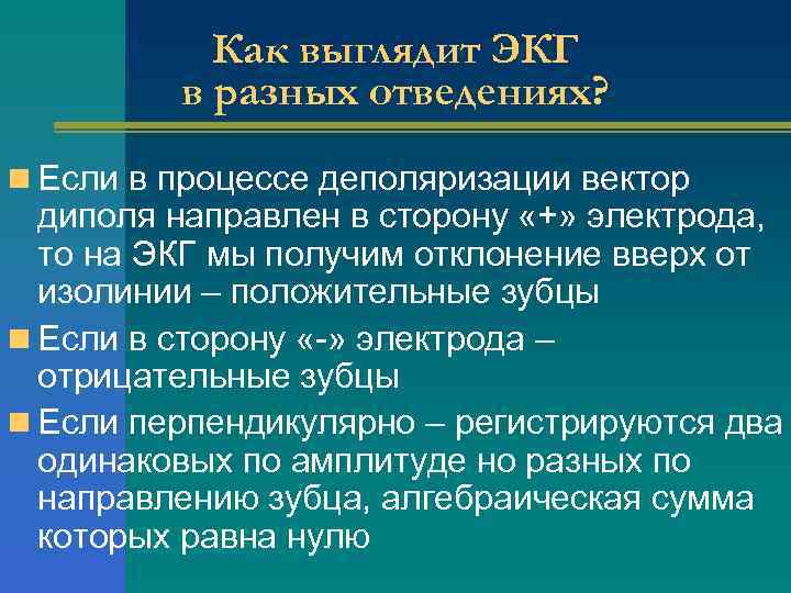 Как выглядит ЭКГ в разных отведениях? n Если в процессе деполяризации вектор диполя направлен