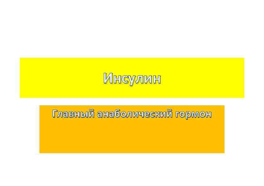 Инсулин Главный анаболический гормон 