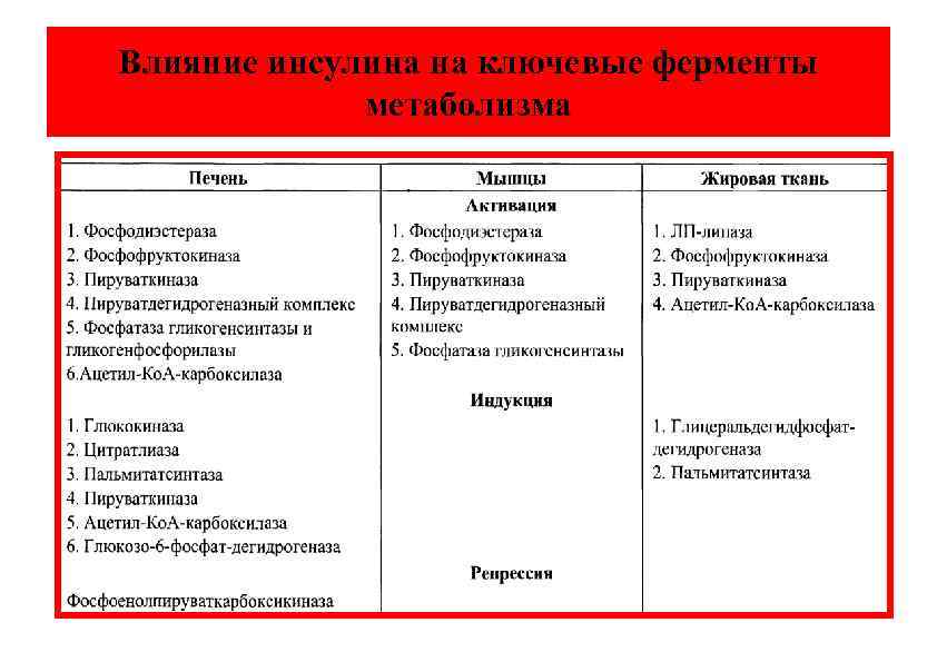 Влияние инсулина на ключевые ферменты метаболизма 