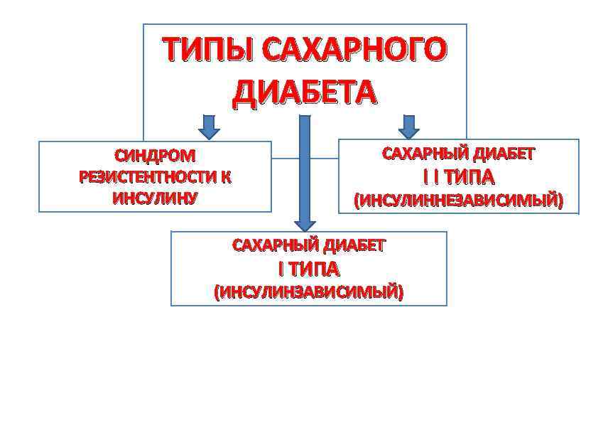 ТИПЫ САХАРНОГО ДИАБЕТА САХАРНЫЙ ДИАБЕТ СИНДРОМ РЕЗИСТЕНТНОСТИ К ИНСУЛИНУ I I ТИПА (ИНСУЛИННЕЗАВИСИМЫЙ) САХАРНЫЙ
