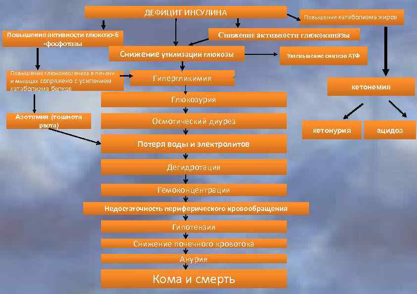 ДЕФИЦИТ ИНСУЛИНА Повышение активности глюкозо-6 -фосфотазы Снижение активности глюкокиназы Снижение утилизации глюкозы Повышение глюконеогенеза