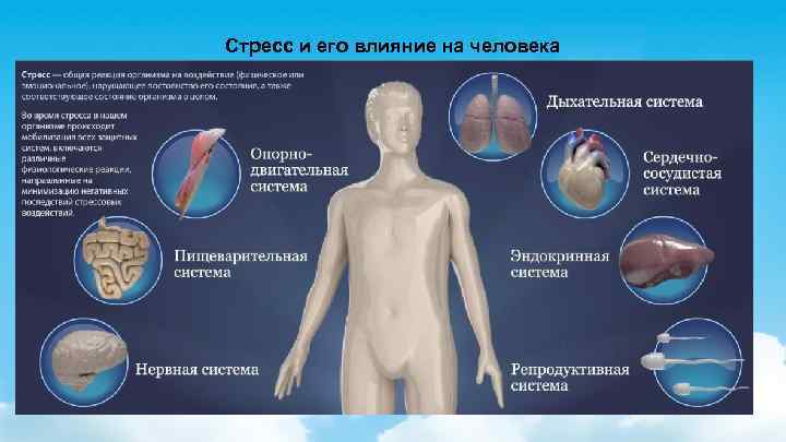 Стресс и его влияние на человека 