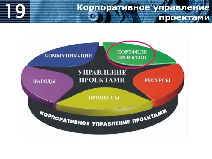 19 Корпоративное управление проектами 