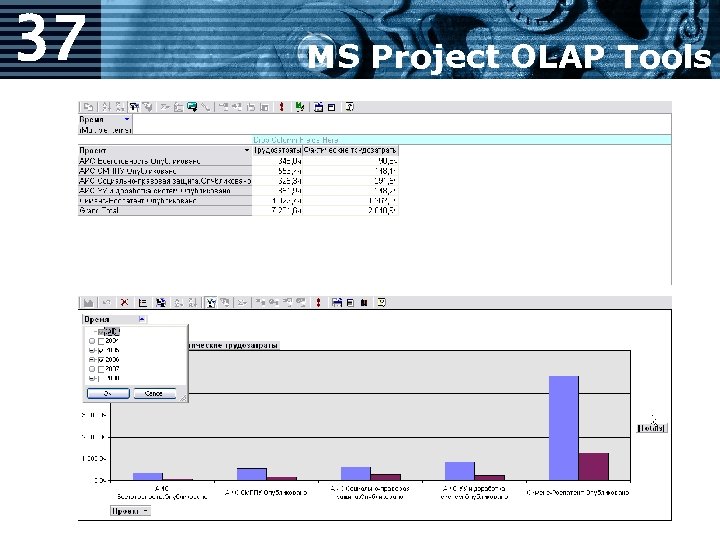 37 MS Project OLAP Tools 