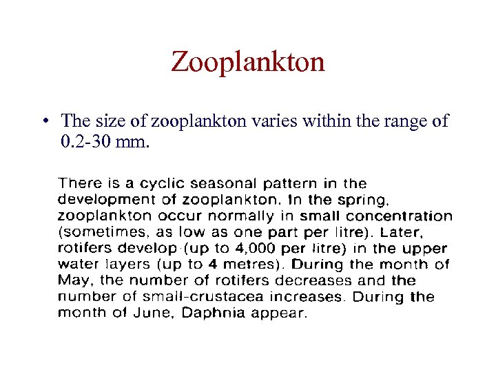Zooplankton • The size of zooplankton varies within the range of 0. 2 -30