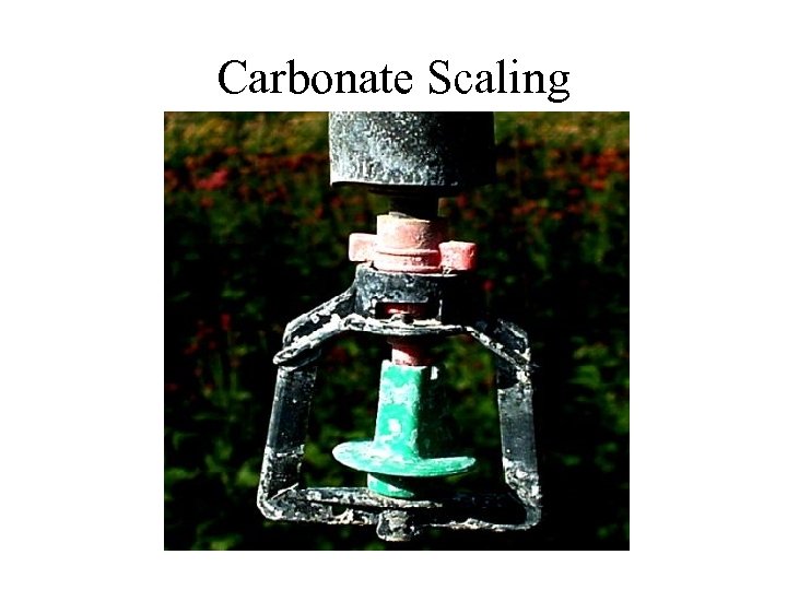 Carbonate Scaling 