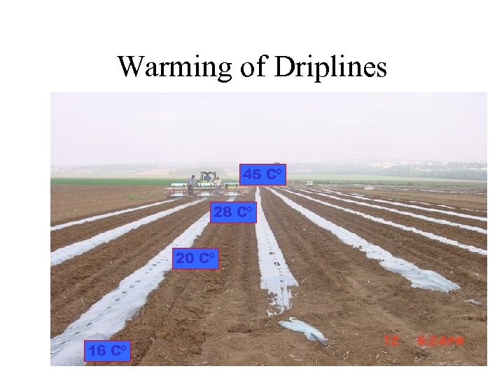 Warming of Driplines 45 Cº 28 Cº 20 Cº 16 Cº 